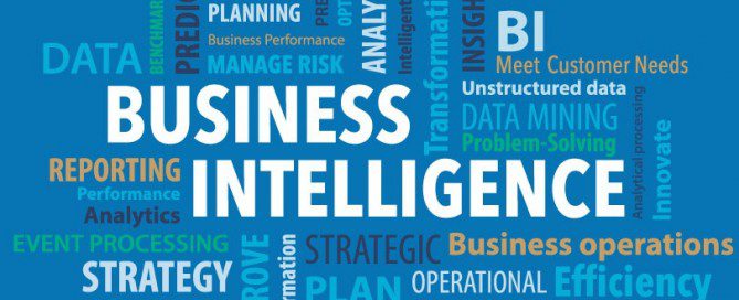 Business intelligence developer