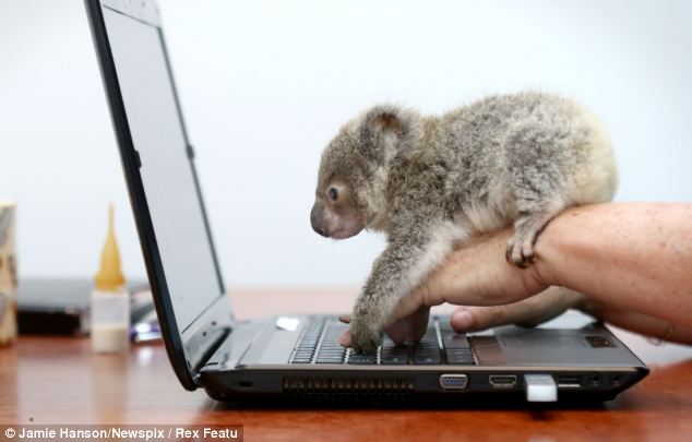 practical software training in australia