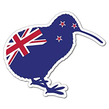 Information nights all over New Zealand this November!