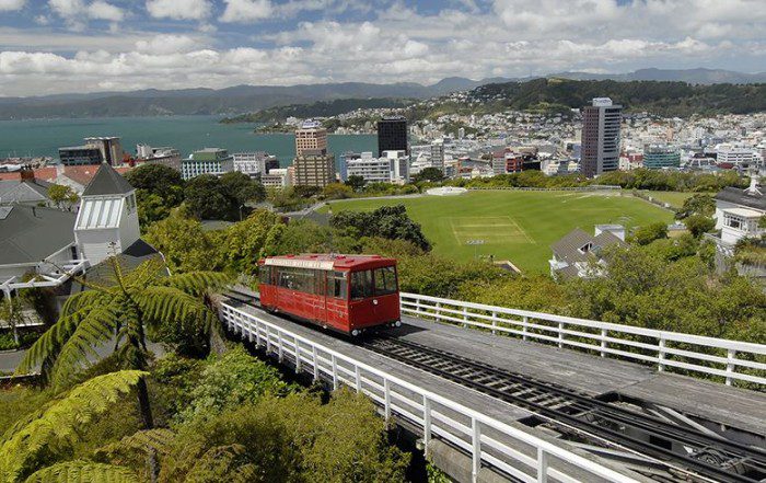 software developer jobs in Wellington