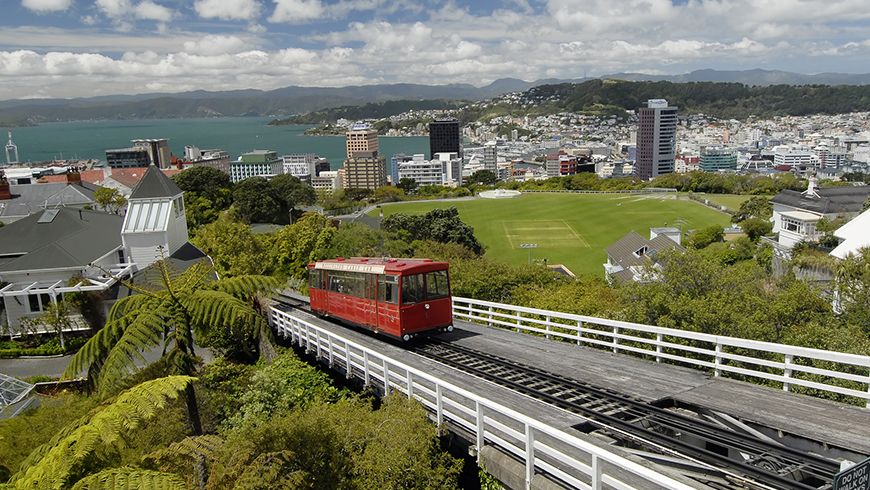 Come see us for software developer jobs in Wellington