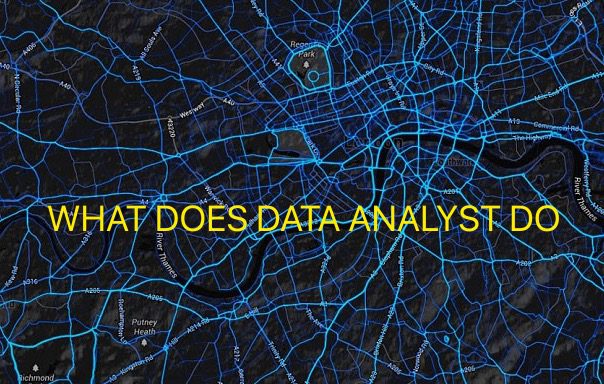 What does Data Analyst do?