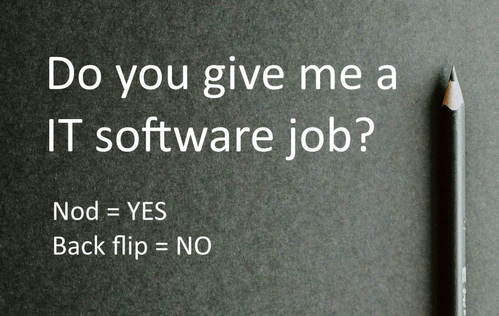 Disqualified Instantly: If someone asks “do you give me an IT software job?”