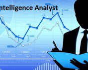 Business Intelligence Analyst