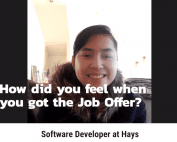 First job as a software developer