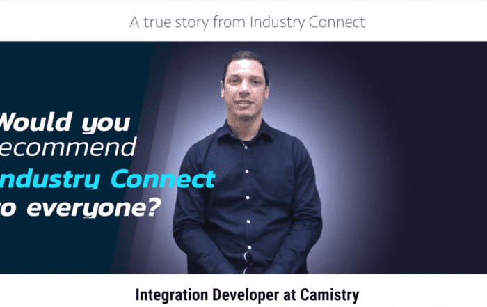 integration developer
