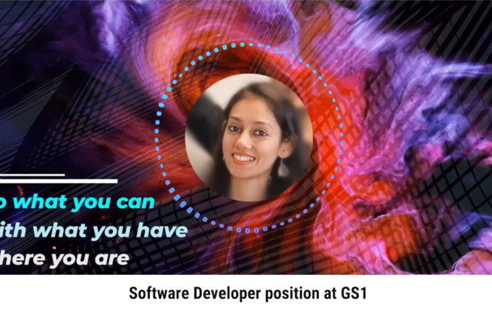 Ribu software developer