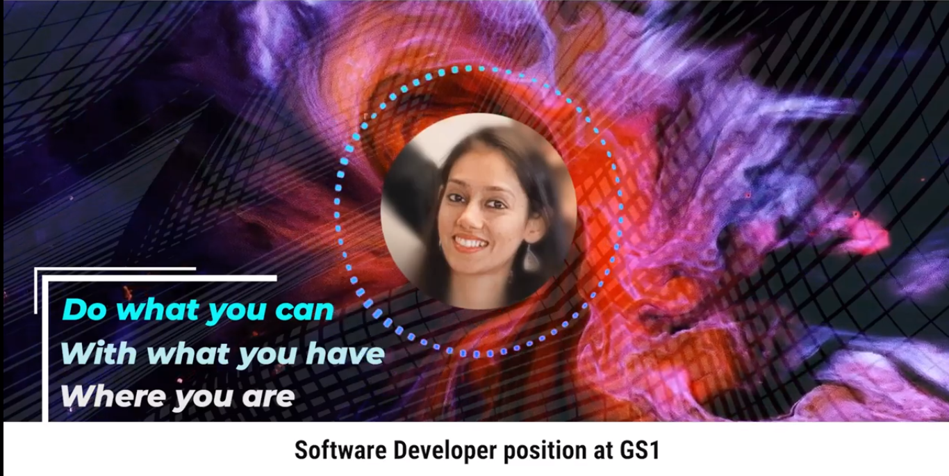 Ribu software developer