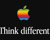 IT career