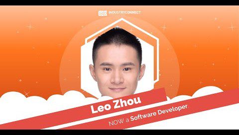 software career