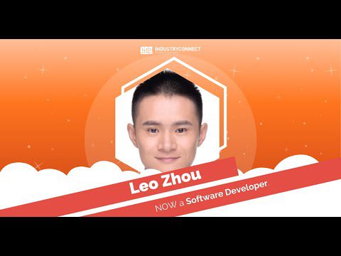 software career