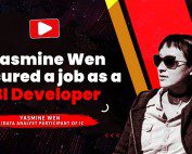 job as a BI Developer