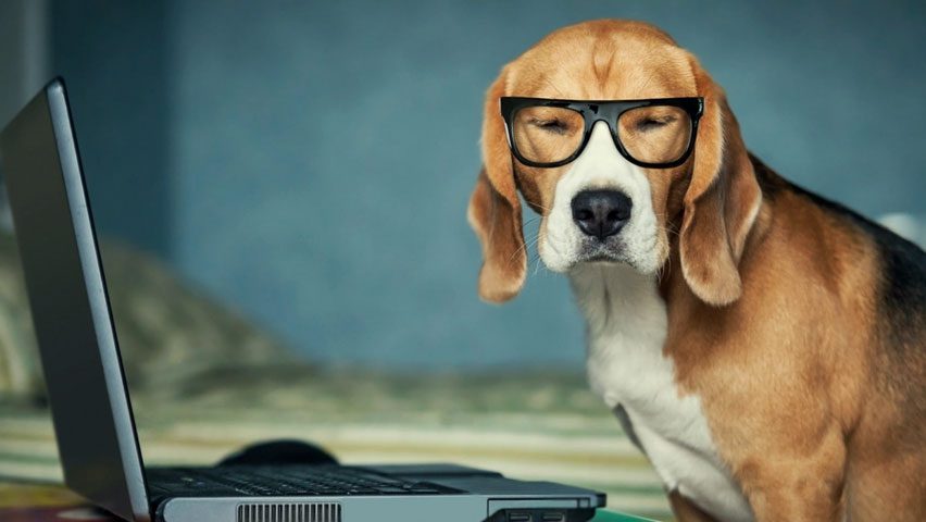 What does a test analyst job actually involve?
