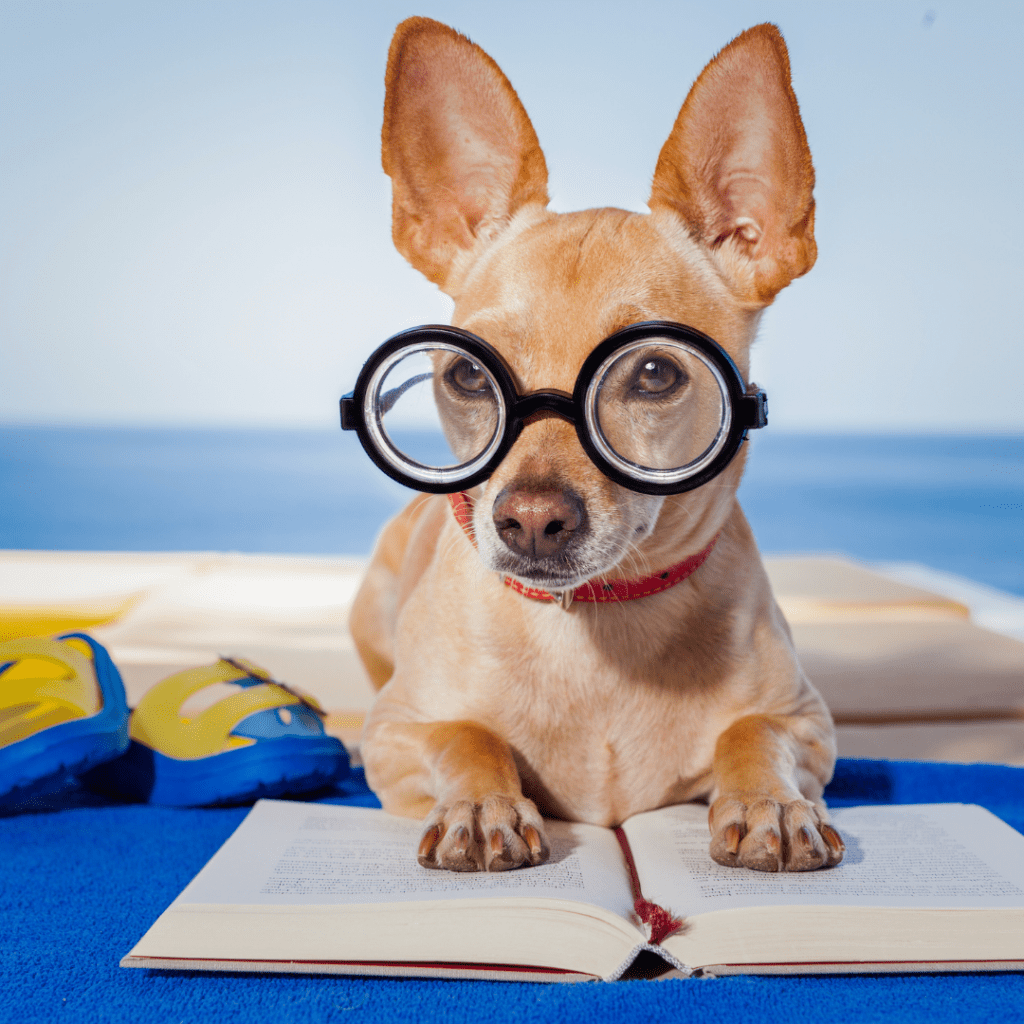 The Art of Reading: Why Reading a Document Thoroughly Matters