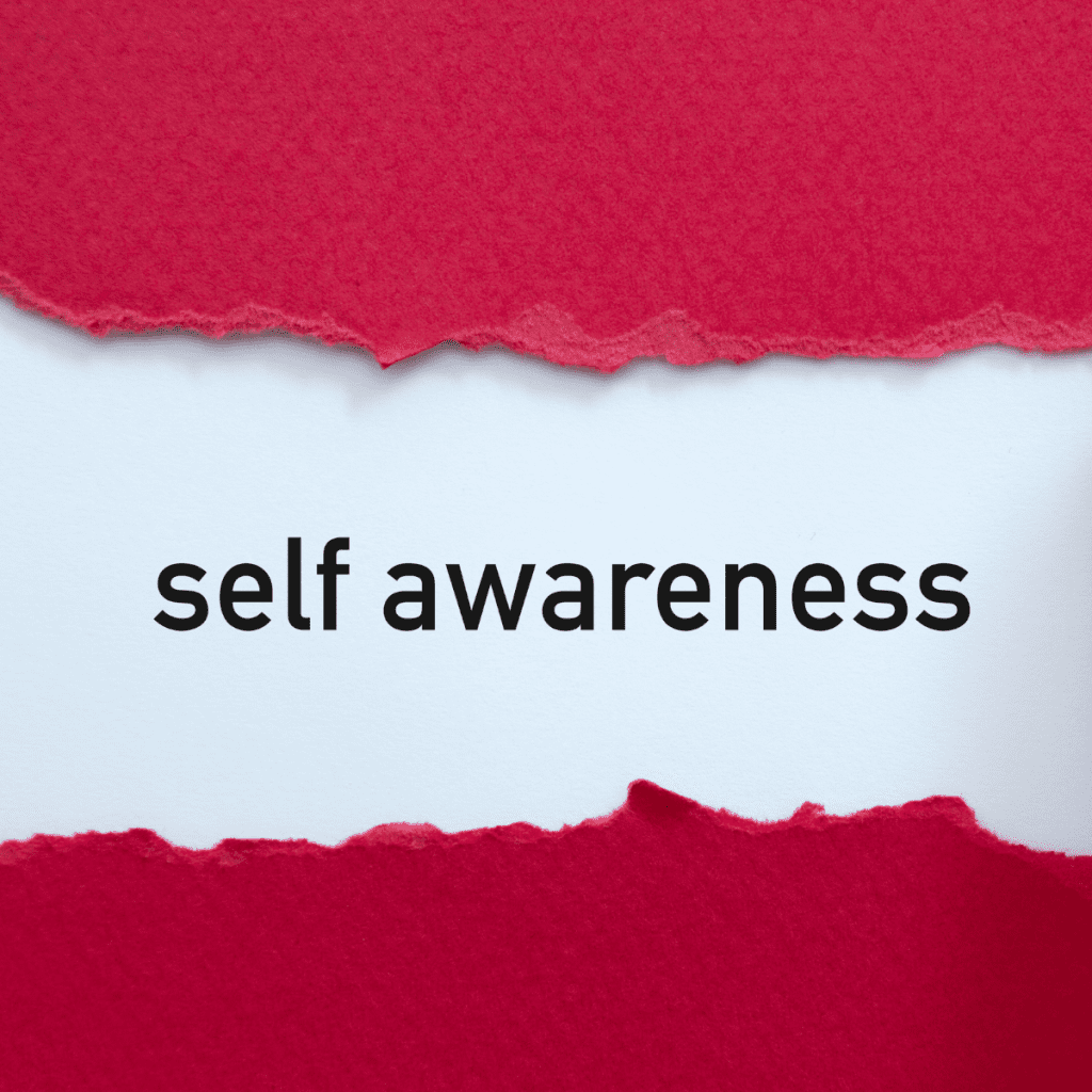 Harnessing the Power of Self-Awareness in IT: A Path to Growth, Understanding, Critical Thinking, and Career Success